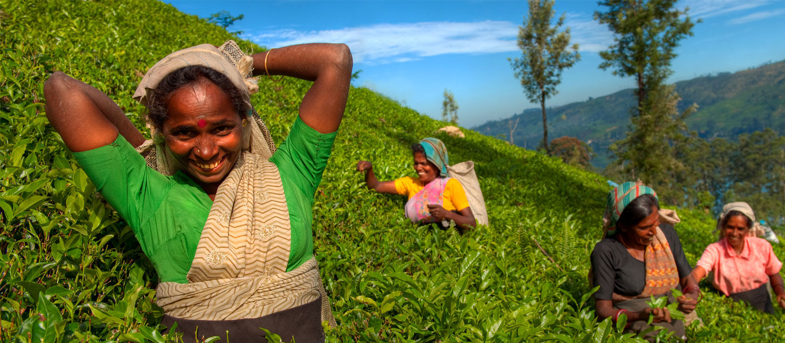 Nuwara Eliya