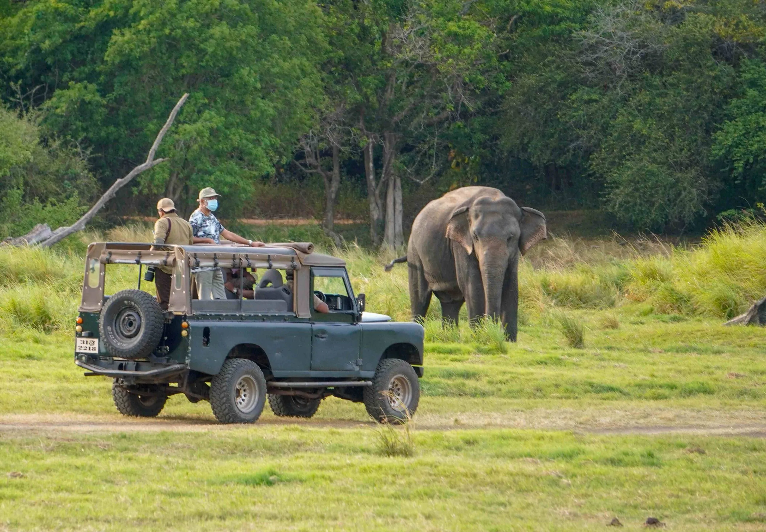 Wild Sri Lanka Escape